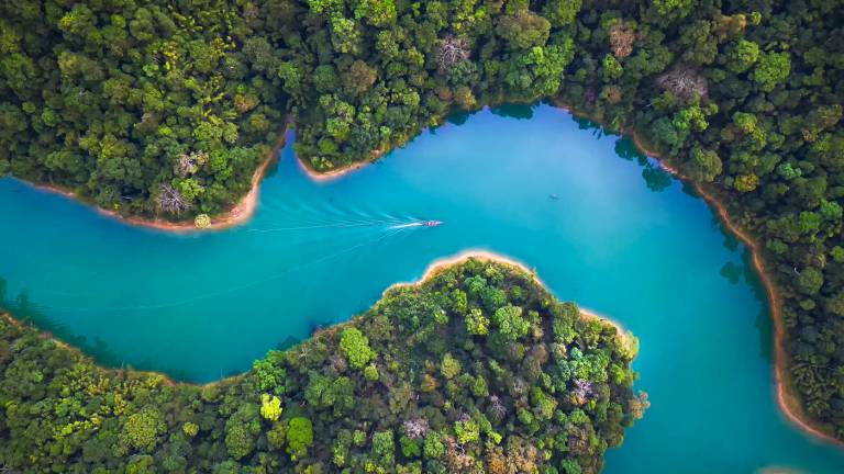 Discover our unique approach to emerging markets